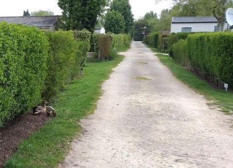 Camping Les Fontaines, 3* - 8