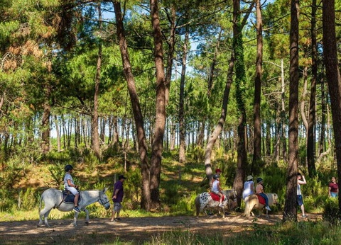 Camping Atlantic Club Montalivet, 5* - 66