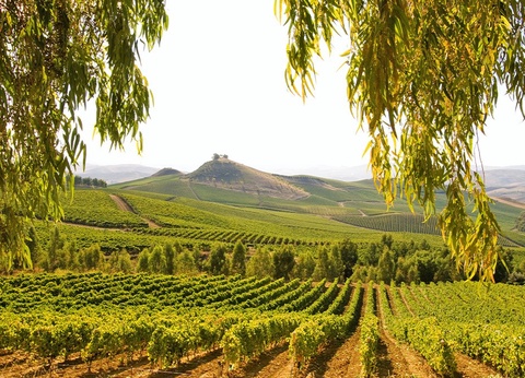 Hôtel Acacia Resort 4* - 15