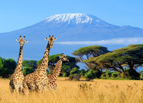 Ôclub Experience Jacaranda Beach Resort - 17