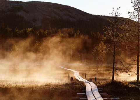 Séjour Multi-Activités à Savukoski - 4