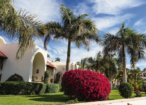 Hôtel Mövenpick Resort Sharm El Sheikh - 105