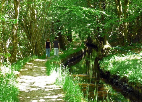 Camping La Riviere D'Argent, 3* - 53