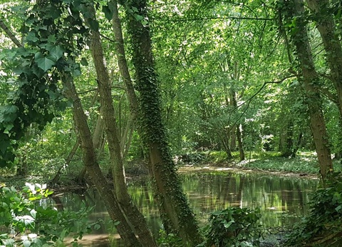 Camping Le Parc des Roches, 3* - 27