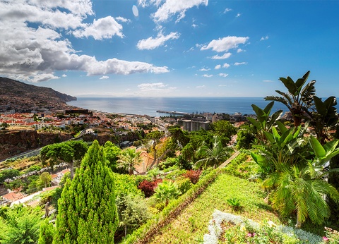 Hôtel Quinta Funchal Gardens 5* Adult Only +18 - 14