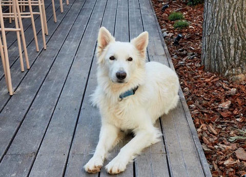 Camping Taiga Lake Caspe - 42