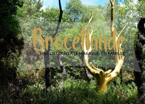 Camping Les Cerisiers 3* - 30