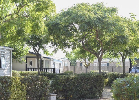 Camping Resort Els Pins, 4* - 54