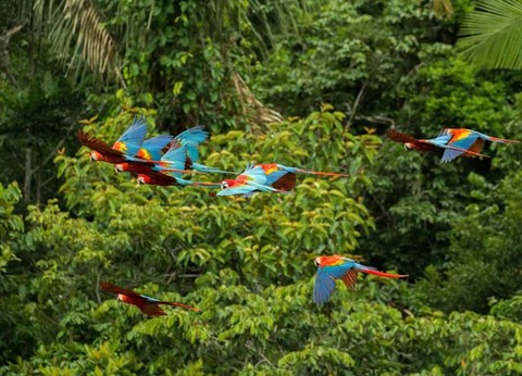 Circuit Splendeurs du Pérou et Séjour Amazonie - Spécial Fête « Inti Raymi » - 14