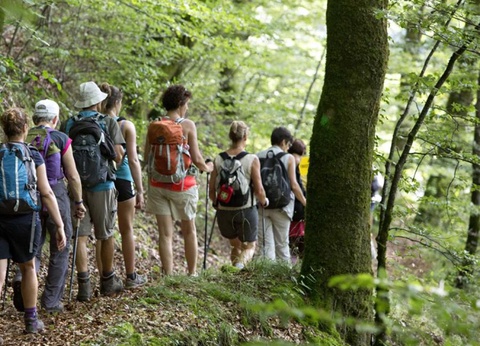 Camping Paradis - L'Europe, 4* - 39