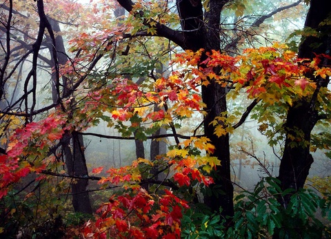 Circuit Grand Tour du Canada - 10