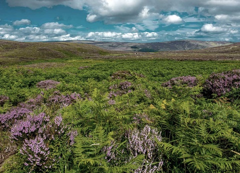 Autotour L'Irlande éternelle - 2
