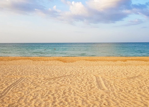 Circuit Secrets du Sri Lanka en petit groupe : culture, plages sauvages et safari 4* - 12