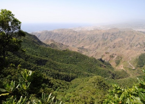 Circuit Randonnée entre océan et Teide, logement au Club Jumbo Bluesea Puerto Resort 3* - 9