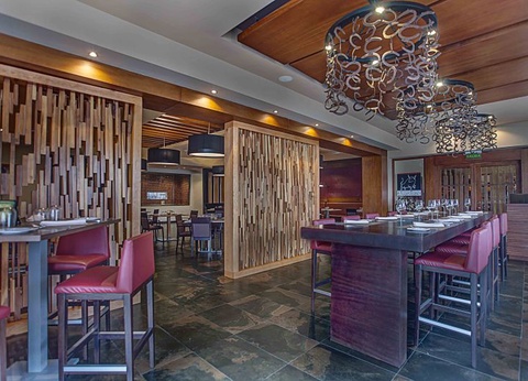 Hôtel CHIC Punta Cana Resort by Royalton 5* - 11