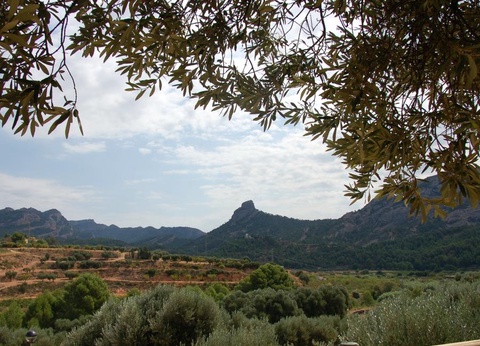 Camping Terra Alta, 3* - 12