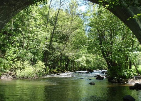 Camping Le Pont d'Allagnon, 3* - 12