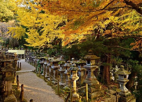 CIRCUIT LE JAPON EN LIBERTE ET NUIT ZEN A KOYASAN - 9
