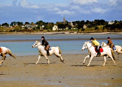 Camping de La Grande Lande, 3* - 17