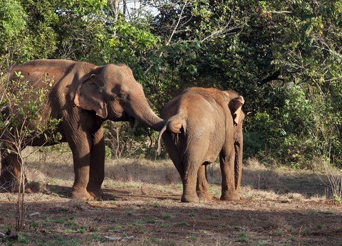 Circuit Grande découverte de la Thaïlande en 14 nuits - 11