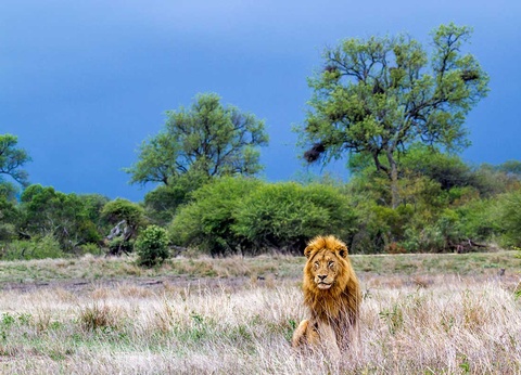 Circuit Cap sur l'Afrique du Sud - 11