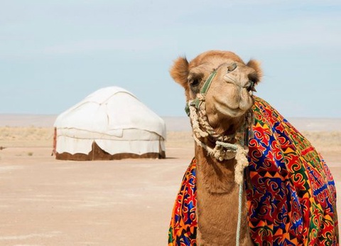 Splendeurs d'Ouzbékistan 12J/9N ou 10N - 2025 - 11