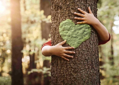 Camping La Tamarissière, 4* - 32