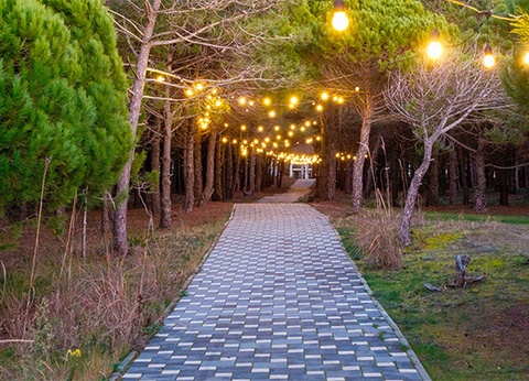 Club Framissima Amber Village 4* - 13