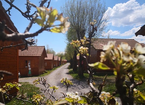 Camping La Motte Flottante - 19