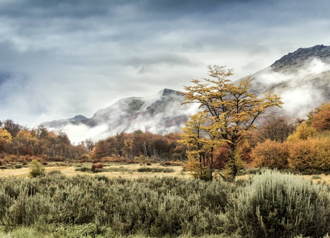 Circuit Le grand tour argentin : des Andes à la Terre de Feu - 7