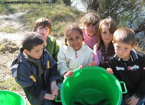 Camping maeva Escapades Les Etangs Mina, 3* - 63