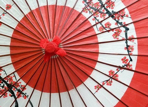 Samourais et Jardins zen - Japon - 9