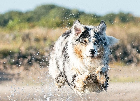 Camping Le Val de Cesse, 4* - 34