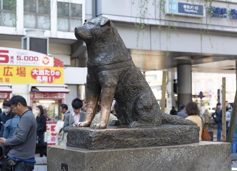 Les joyaux du Japon, de Tokyo aux Alpes japonaises - 17