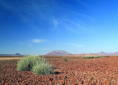 Circuit Visage de Namibie - 16