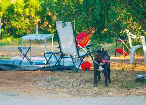 Gitavillage Talamone - 19