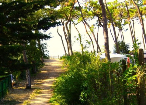 Camping maeva Club Les Préveils, 4* - 25