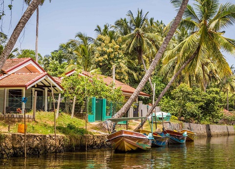 Circuit Merveilles de Ceylan 3*/4* - 6