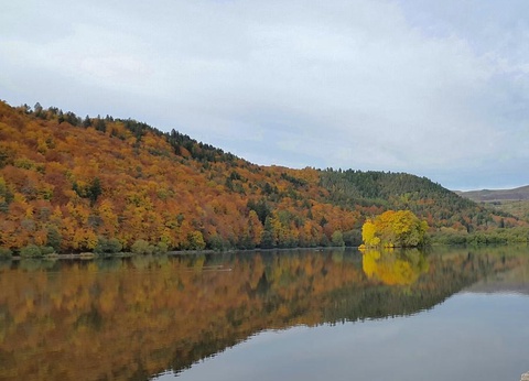 Camping Domaine du Lac Chambon 3* - 24