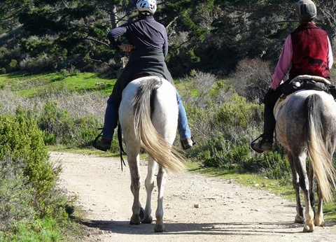 Camping La Motte Flottante - 12