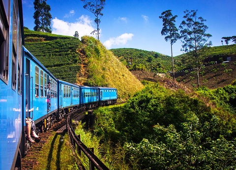 Circuit Balade Sri Lankaise privative et Oclub Experience Pandanus beach resort Spa 5* - 5