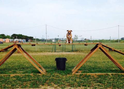 Gitavillage Club degli Amici - 13