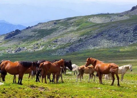 Mongolie, terre nomade + Gobi - 26