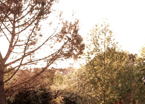 Slow Village Séveilles, 5* - 7