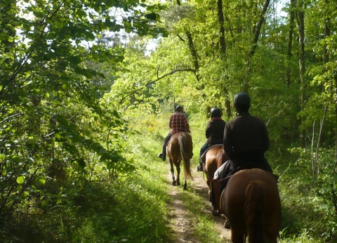 Camping le Bourdieu, 3* - 40