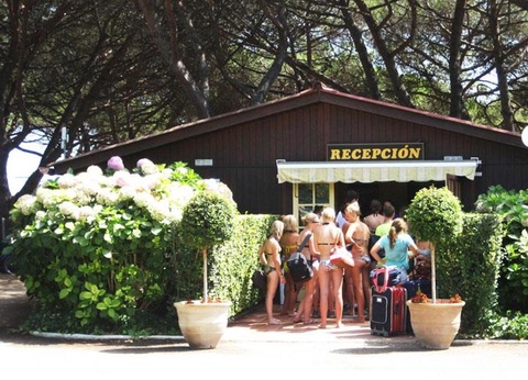 Camping Vall d'Or 3* - 16