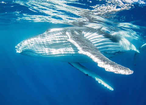 City Break 4 nuits - A la recherche du soleil de minuit - 9