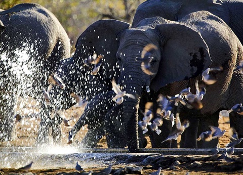 Circuit Trésors d'Afrique australe - 14