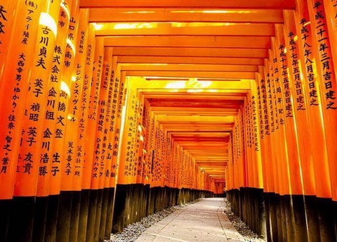 Japon Essentiel + Extension Tokyo - 13