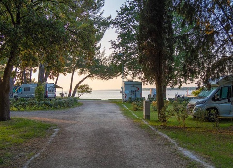 Brioni Sunny Camping - 8